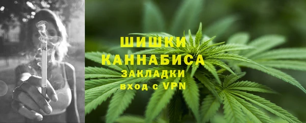 хмурый Горняк