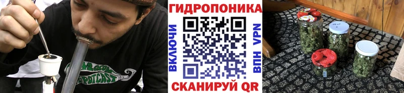 что такое наркотик  Дмитровск  кракен tor  МАРИХУАНА SATIVA & INDICA 